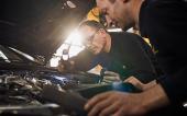 Wer baut den Marderschutz ein? Vergölst Autoservice