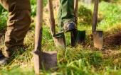 Vergölst Waldprojekt Lüneburger Heide Vergölst Waldprojekt Lüneburger Heide